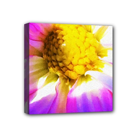Purple, Pink And White Dahlia With A Bright Yellow Center Mini Canvas 4  X 4  (stretched)