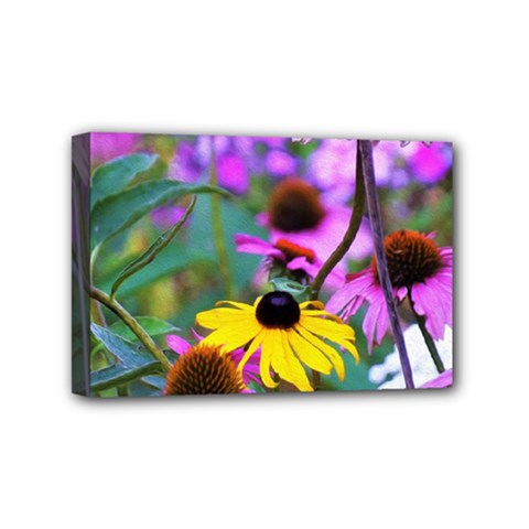 Yellow Flowers In The Purple Coneflower Garden Mini Canvas 6  X 4  (stretched) by myrubiogarden