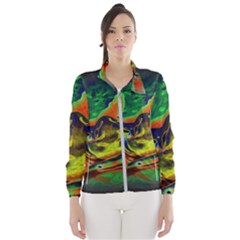 Abstract Transparent Background Windbreaker (women)