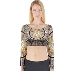 Stained Glass Window Glass Ceiling Long Sleeve Crop Top by Pakrebo