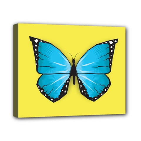 Butterfly Blue Insect Canvas 10  X 8  (stretched)