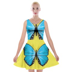 Butterfly Blue Insect Velvet Skater Dress by Alisyart