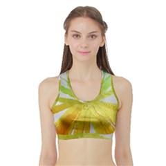 Abstract Background Tremble Render Sports Bra With Border