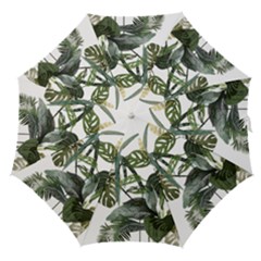 Botanical Illustration Palm Leaf Straight Umbrellas
