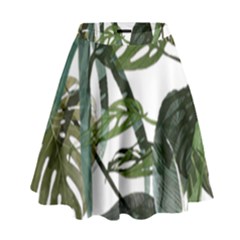 Botanical Illustration Palm Leaf High Waist Skirt by Mariart