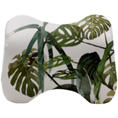 Botanical Illustration Palm Leaf Head Support Cushion