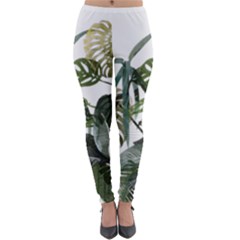 Botanical Illustration Palm Leaf Lightweight Velour Leggings by Mariart