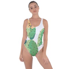 Cactaceae Thorns Spines Prickles Bring Sexy Back Swimsuit by Mariart