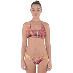 Color Background Structure Lines Cross Back Hipster Bikini Set