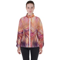 Color Background Structure Lines High Neck Windbreaker (women)