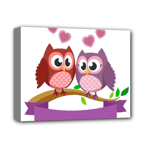 Owl Cartoon Bird Deluxe Canvas 14  X 11  (stretched)