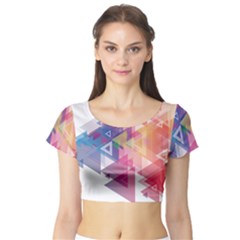 Science And Technology Triangle Short Sleeve Crop Top by Alisyart