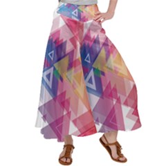 Science And Technology Triangle Satin Palazzo Pants