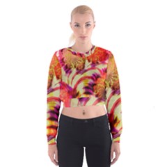 Fractal Mandelbrot Art Wallpaper Cropped Sweatshirt by Pakrebo