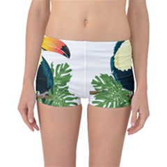 Tropical Birds Boyleg Bikini Bottoms