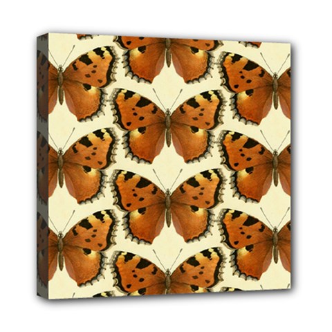 Butterflies Insects Mini Canvas 8  X 8  (stretched)