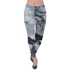 Awesome Black And White Wolf In The Dark Night Velvet Leggings by FantasyWorld7