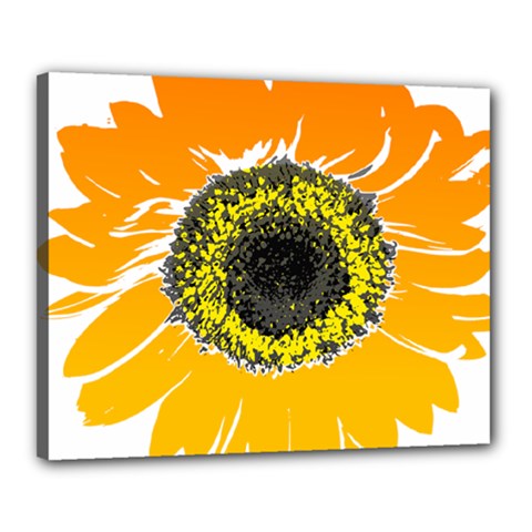 Sunflower Flower Yellow Orange Canvas 20  X 16  (stretched) by Mariart