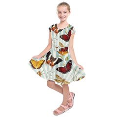 My Butterfly Collection Kids  Short Sleeve Dress by WensdaiAmbrose