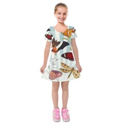 My Butterfly Collection Kids  Short Sleeve Velvet Dress by WensdaiAmbrose