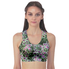 Ivy Lace Flower Flora Garden Sports Bra by Pakrebo