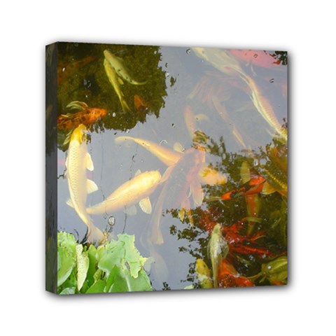 Koi Fish Pond Mini Canvas 6  X 6  (stretched)