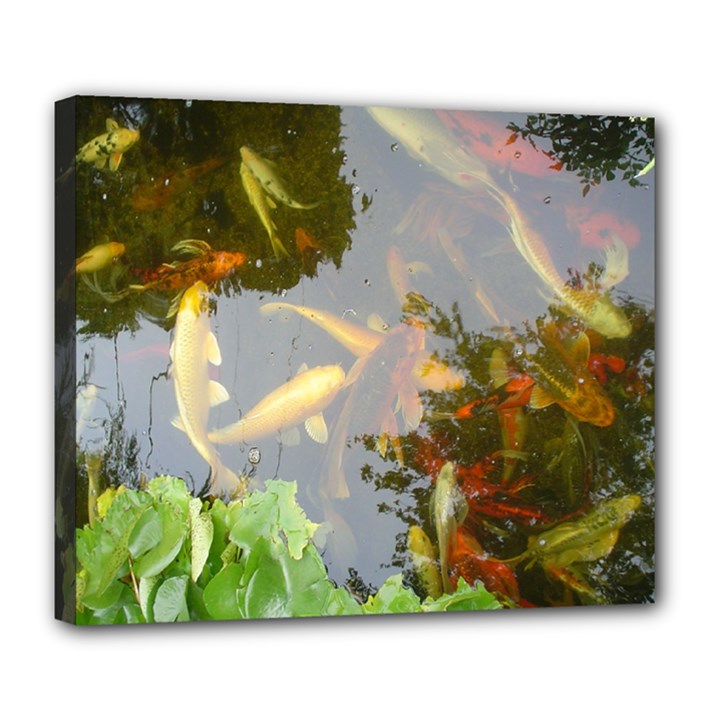 Koi Fish Pond Deluxe Canvas 24  x 20  (Stretched)