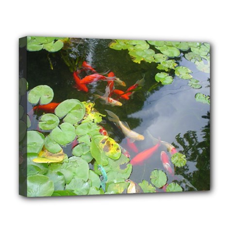 Koi Fish Pond Deluxe Canvas 20  X 16  (stretched) by StarvingArtisan