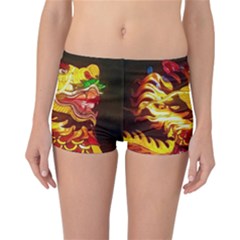 Dragon Lights Ki Rin Reversible Boyleg Bikini Bottoms by Riverwoman