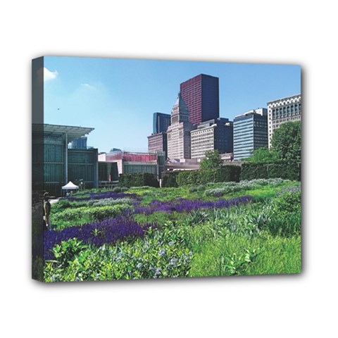 Lurie Garden Salvia River Canvas 10  X 8  (stretched) by Riverwoman