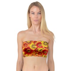 Brilliant Orange And Yellow Daisies Bandeau Top