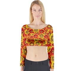 Brilliant Orange And Yellow Daisies Long Sleeve Crop Top