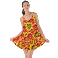 Brilliant Orange And Yellow Daisies Love the Sun Cover Up