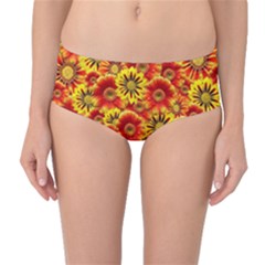 Brilliant Orange And Yellow Daisies Mid-waist Bikini Bottoms