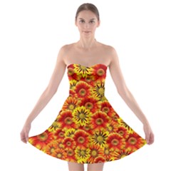 Brilliant Orange And Yellow Daisies Strapless Bra Top Dress by retrotoomoderndesigns