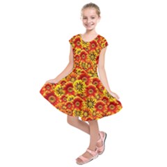 Brilliant Orange And Yellow Daisies Kids  Short Sleeve Dress