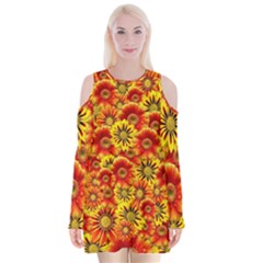 Brilliant Orange And Yellow Daisies Velvet Long Sleeve Shoulder Cutout Dress