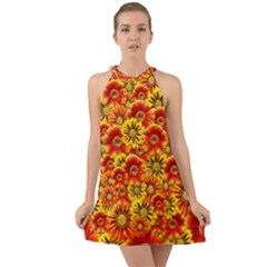 Brilliant Orange And Yellow Daisies Halter Tie Back Chiffon Dress