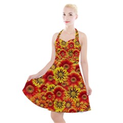 Brilliant Orange And Yellow Daisies Halter Party Swing Dress 