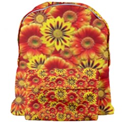 Brilliant Orange And Yellow Daisies Giant Full Print Backpack