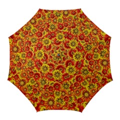 Brilliant Orange And Yellow Daisies Golf Umbrellas