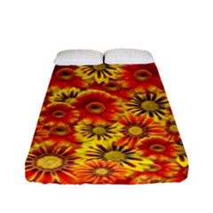 Brilliant Orange And Yellow Daisies Fitted Sheet (Full/ Double Size)