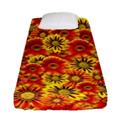 Brilliant Orange And Yellow Daisies Fitted Sheet (Single Size)