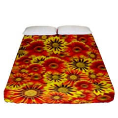 Brilliant Orange And Yellow Daisies Fitted Sheet (Queen Size)
