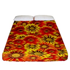 Brilliant Orange And Yellow Daisies Fitted Sheet (King Size)