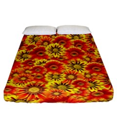 Brilliant Orange And Yellow Daisies Fitted Sheet (California King Size)