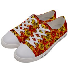 Brilliant Orange And Yellow Daisies Women s Low Top Canvas Sneakers
