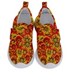 Brilliant Orange And Yellow Daisies Kids  Velcro No Lace Shoes