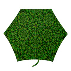 Love The Tulips In The Right Season Mini Folding Umbrellas by pepitasart