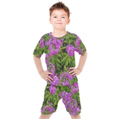 Stratford Garden Phlox Kids  Tee And Shorts Set by Riverwoman